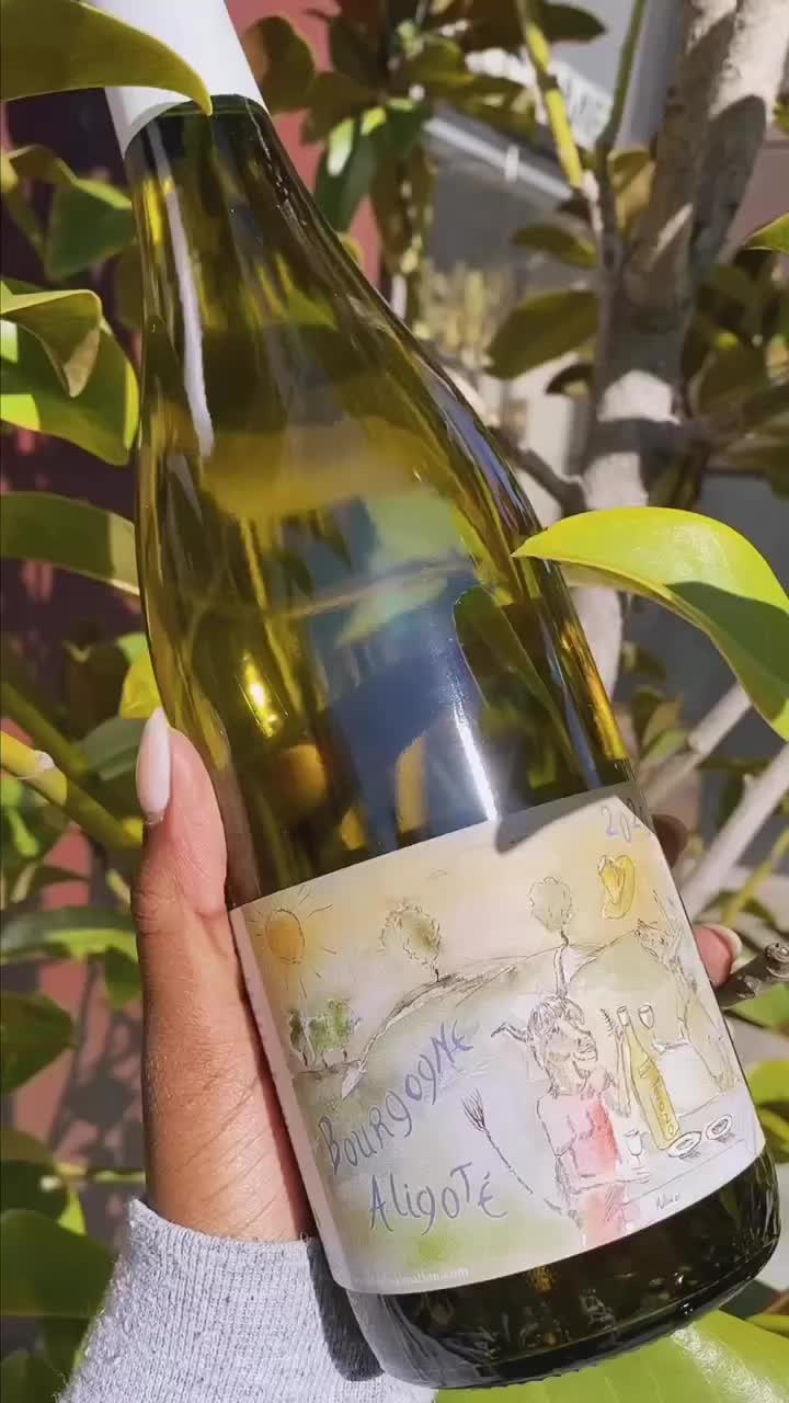 Video post from dandywineshop.