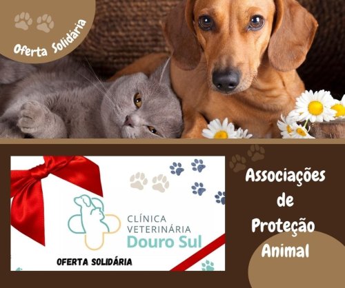 Photo post from clinica_veterinaria_dourosul.