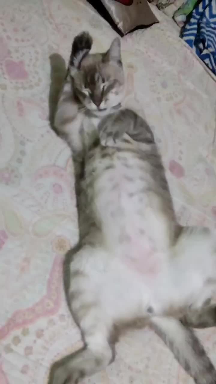 Video post from lumoreiracursos.