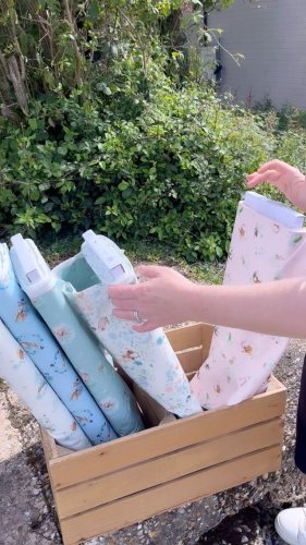 Video post from elephantinmyhandbag.