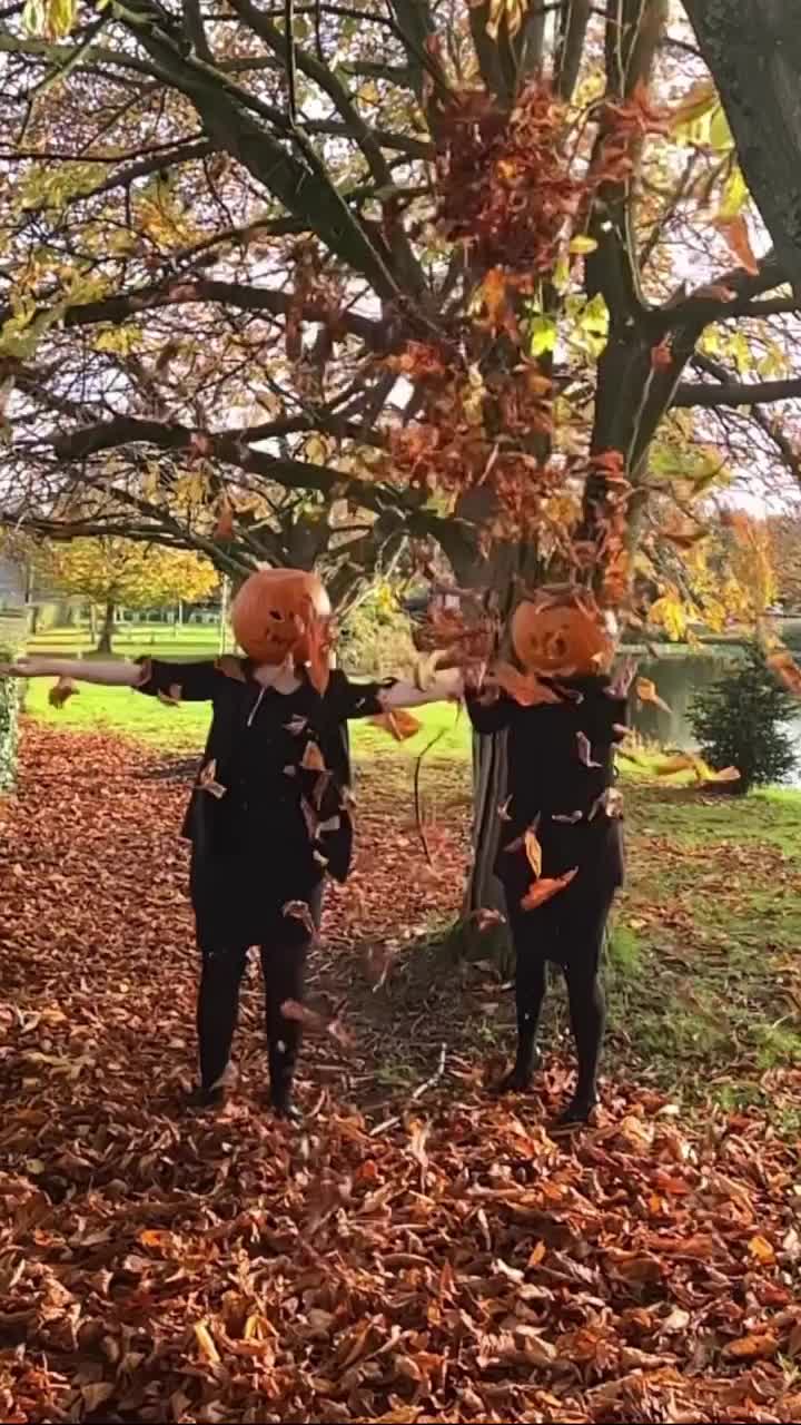 Video post from themoathouse.