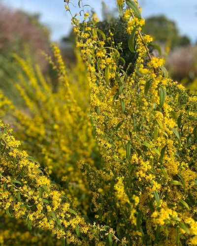 Photo post from sussexprairies.