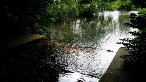 Photo post from kasarstays.