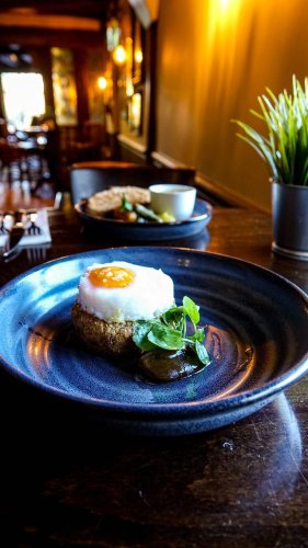 Video post from themoathouse.