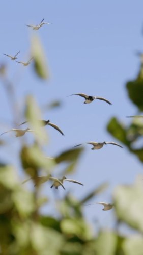 Video post from northernskiesoutfitters.