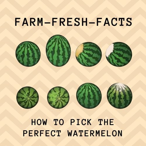 Carousel post from farmbox_arizona.