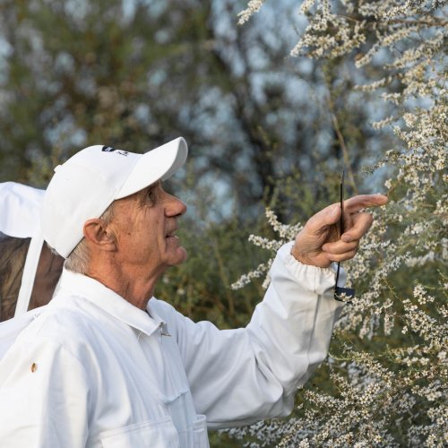 Carousel post from comvita_nz.