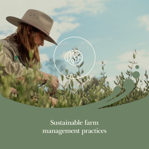 Carousel post from comvita_nz.