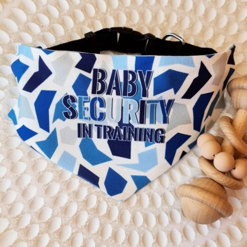 Photo post from furrypeeps.