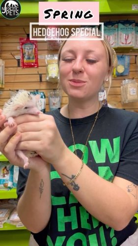 Video post from njexoticpets.