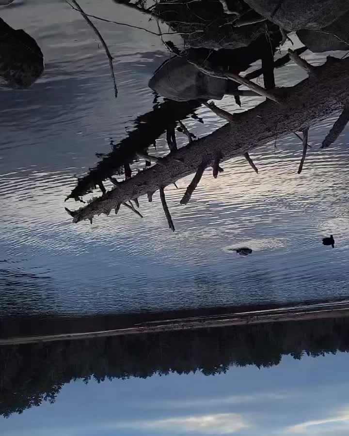 Video post from reddogguideservice.