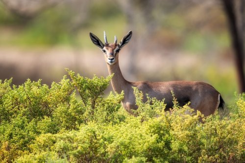 Photo post from jlythcotthaims.