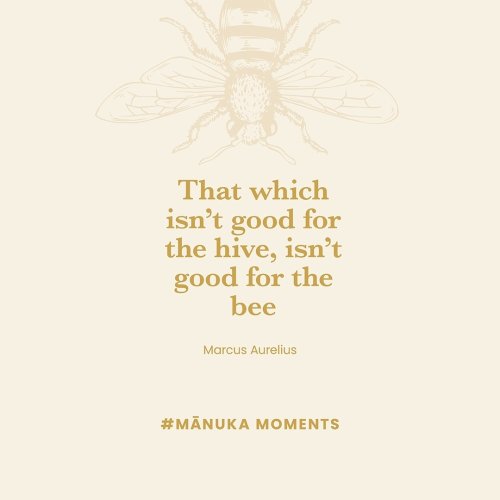 Photo post from comvita_au.