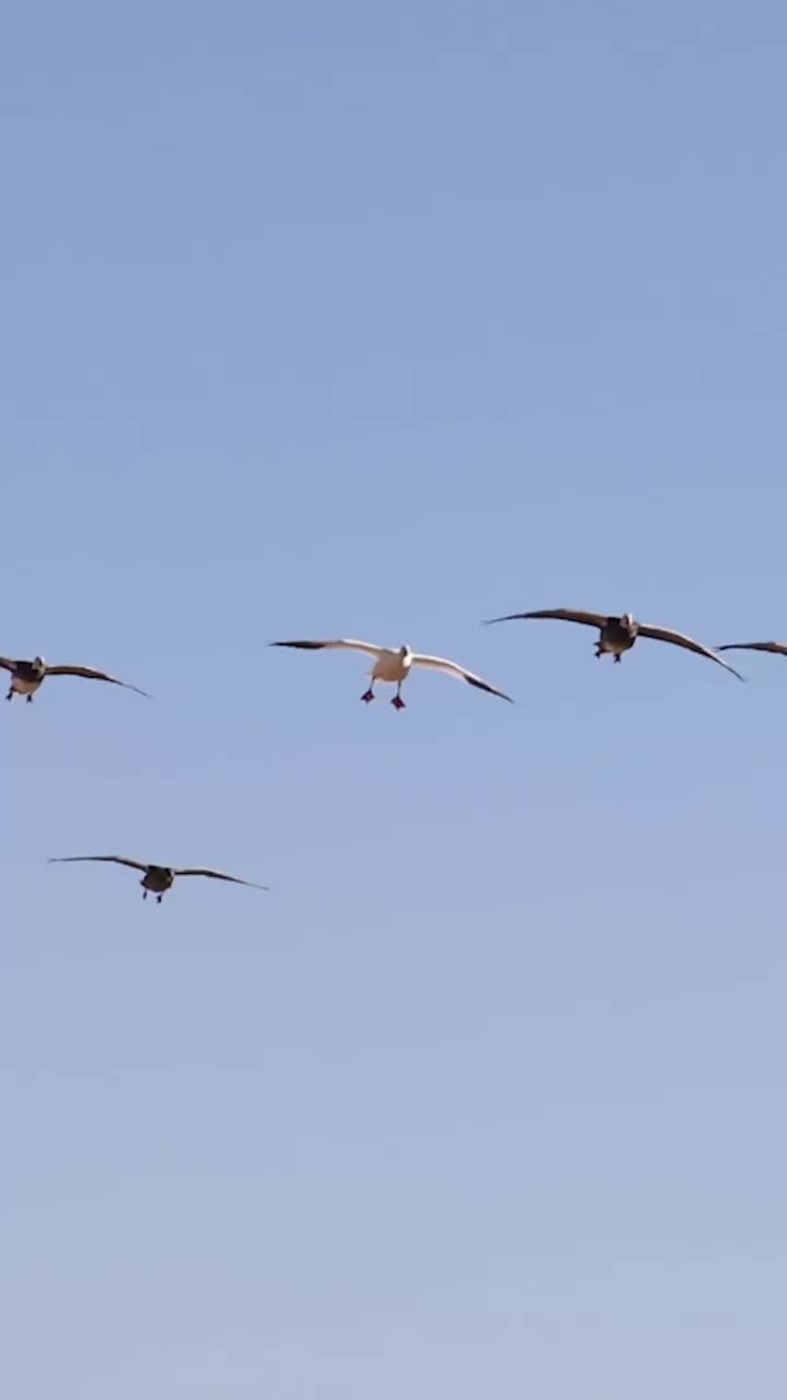 Video post from northernskiesoutfitters.