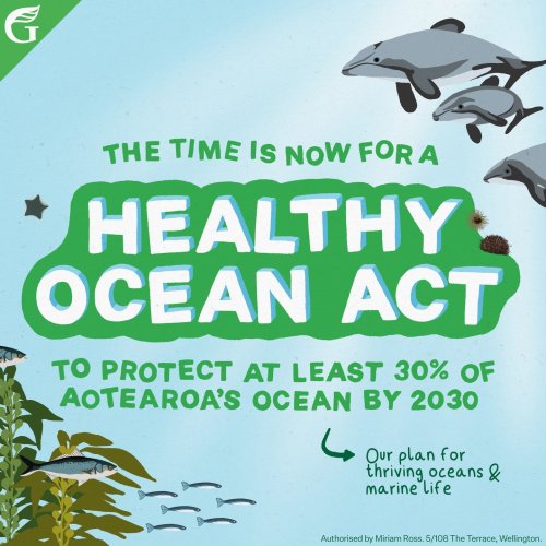 Carousel post from nzgreenparty.