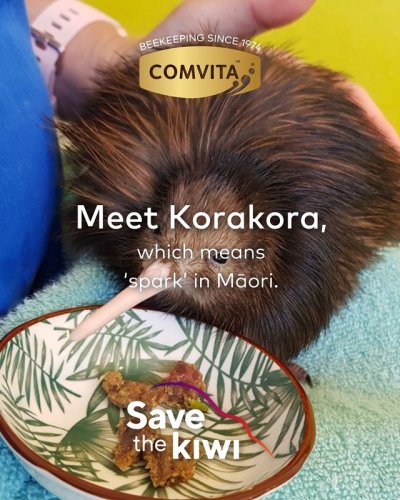 Video post from comvita_nz.