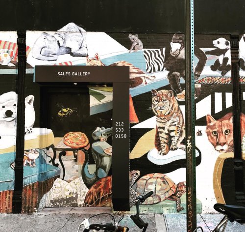 Photo post from nydreamer7.