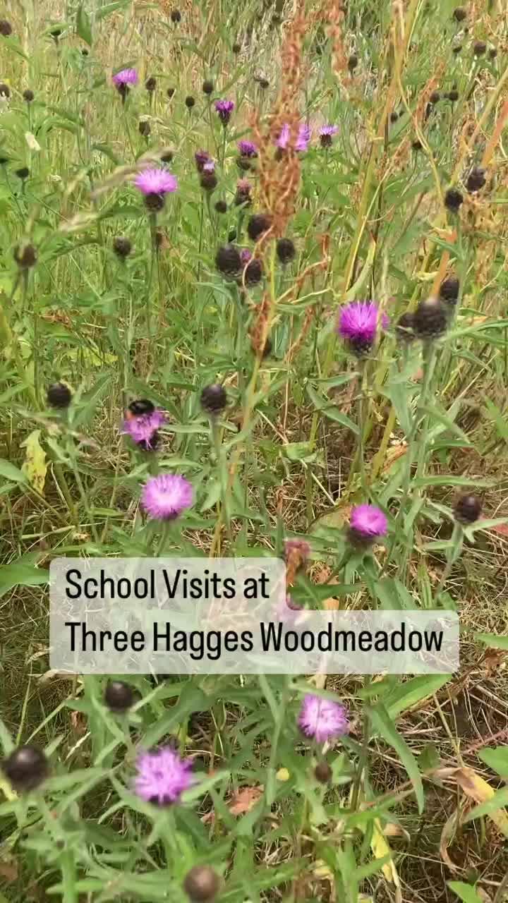 Video post from woodmeadowtrust.