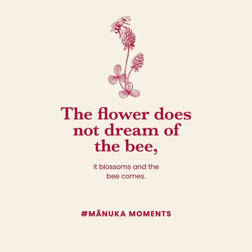 Photo post from comvita_nz.