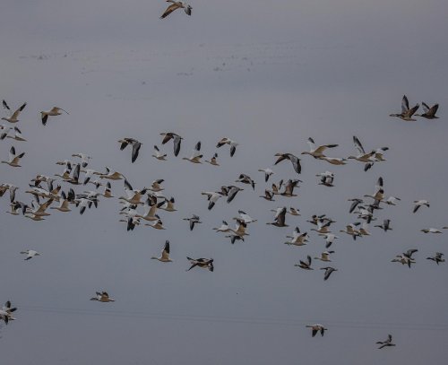 Photo post from northernskiesoutfitters.