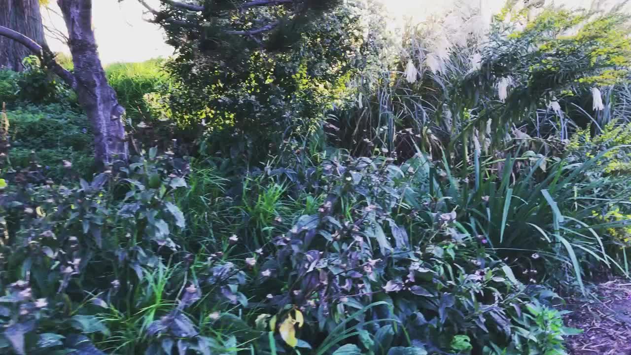 Carousel post from nydreamer7.