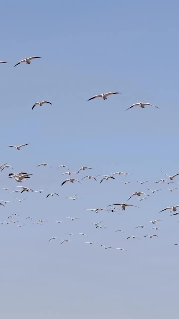 Video post from northernskiesoutfitters.