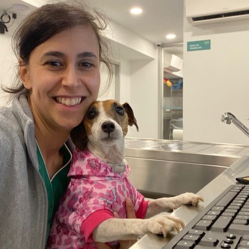 Carousel post from clinica_veterinaria_dourosul.