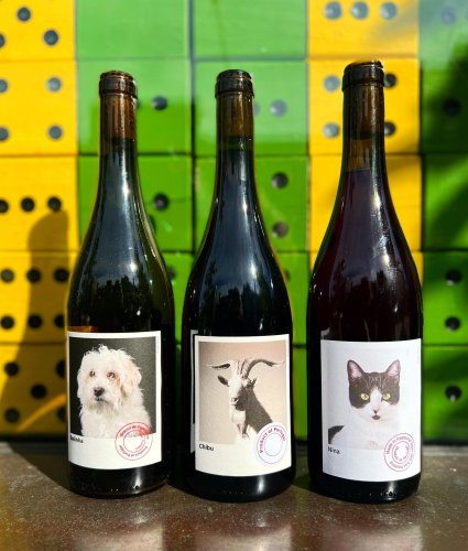 Photo post from dandywineshop.