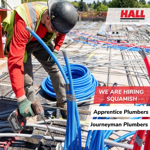 Photo post from bdhall.ca.