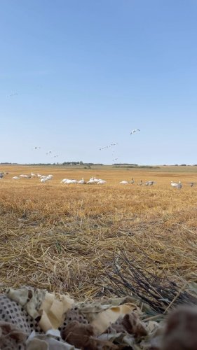 Video post from northernskiesoutfitters.