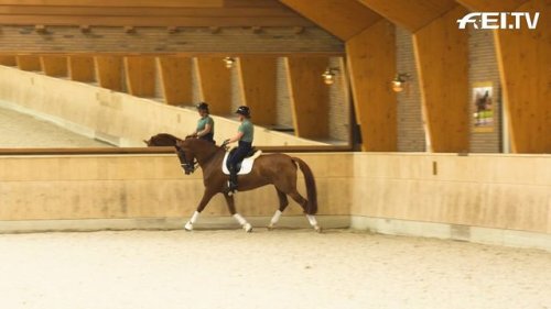 Video post from fei_global.