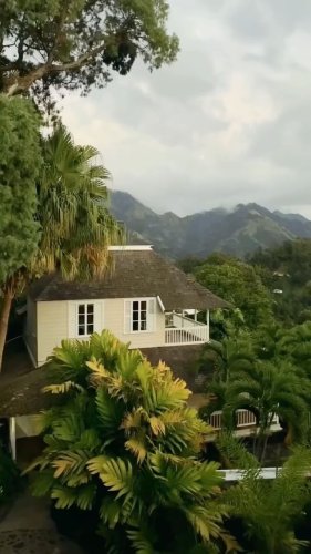 Video post from thingstodoinjamaica.