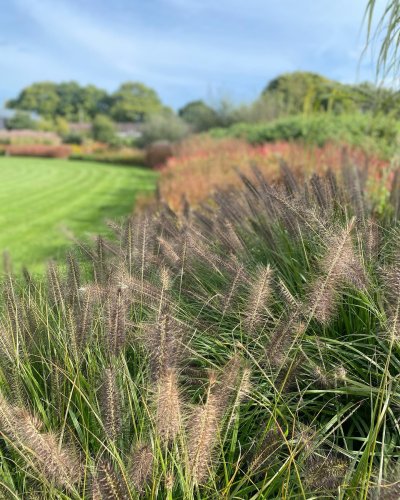 Photo post from sussexprairies.