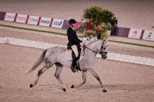 Carousel post from fei_global.