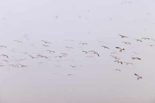 Photo post from northernskiesoutfitters.