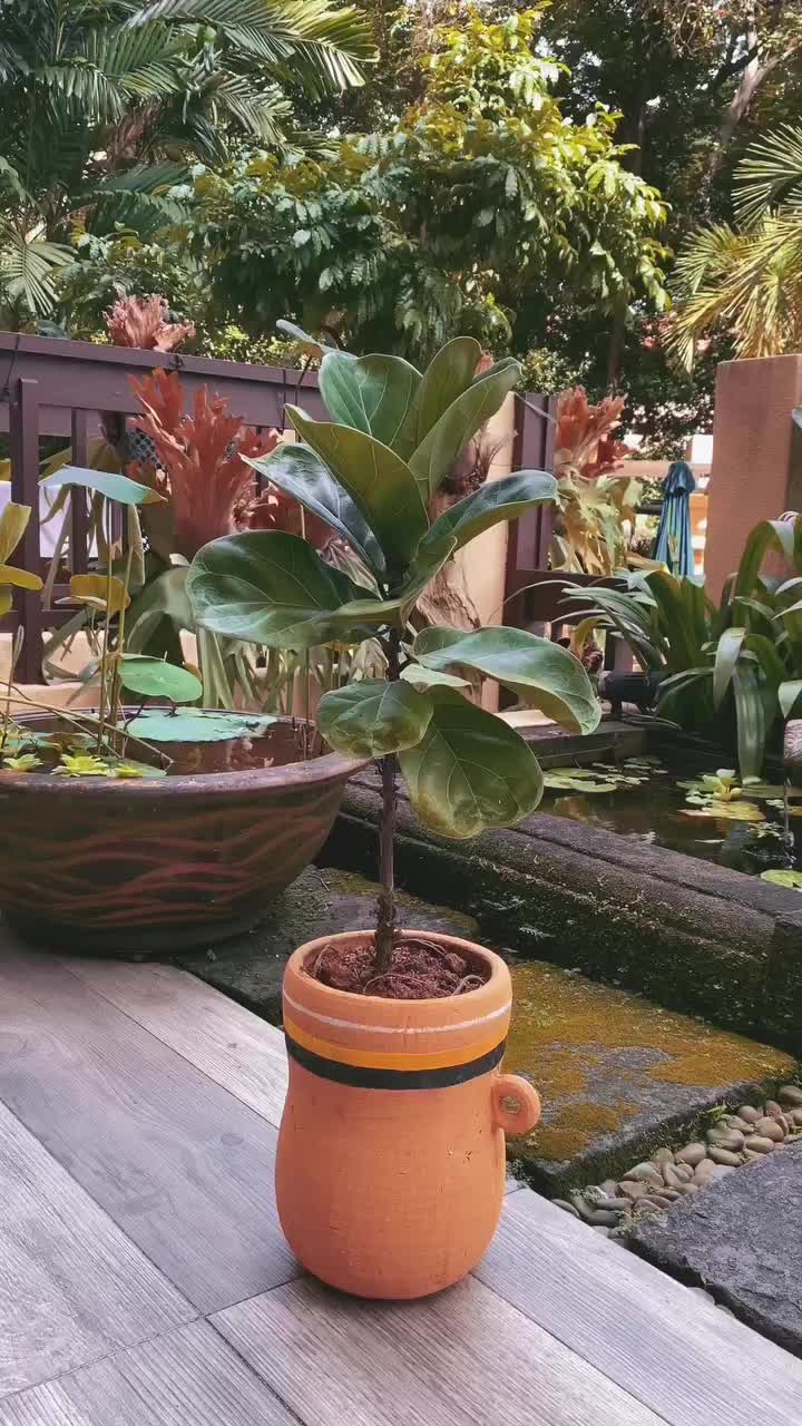 Video post from crane_living.