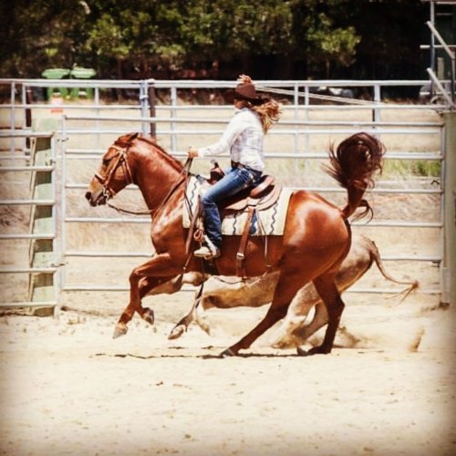 Photo post from __amber_lydic__.