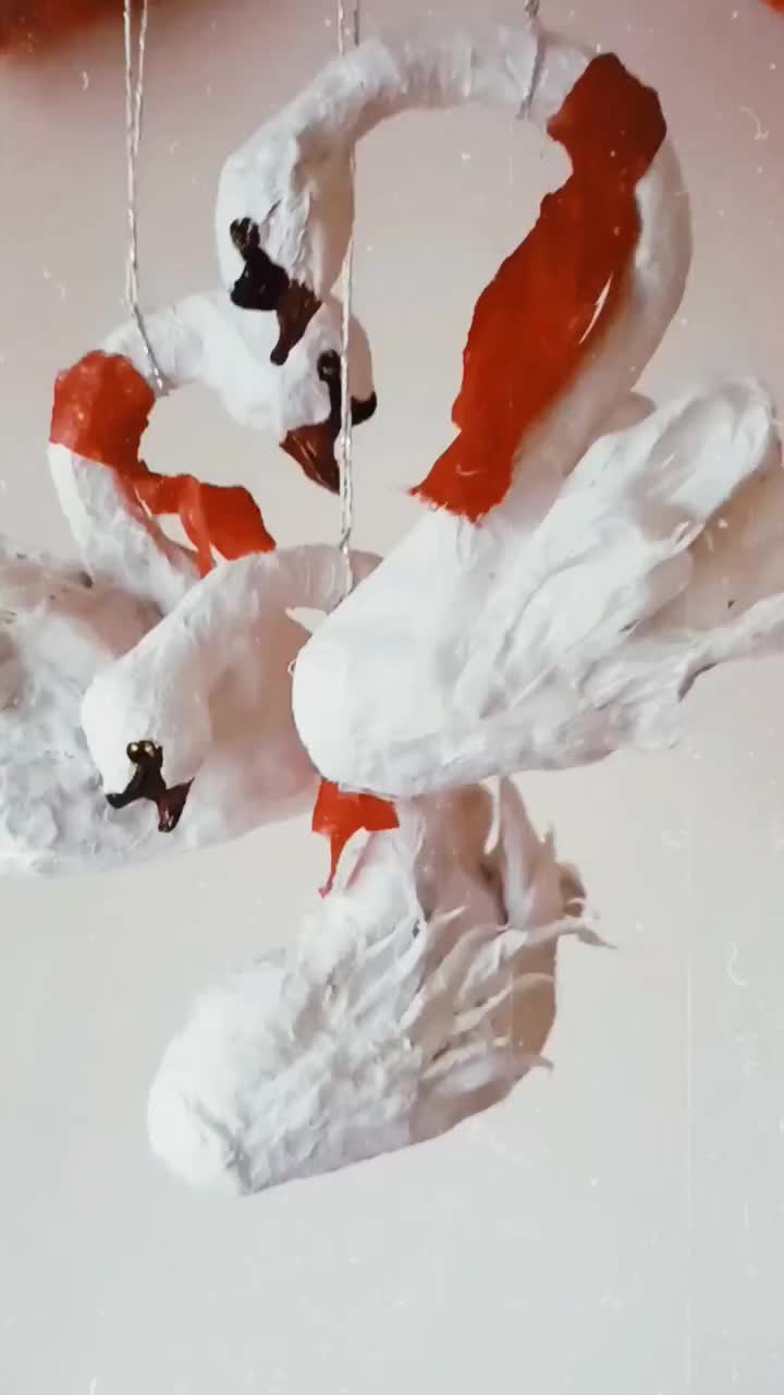 Video post from oljaidevetpaunica.
