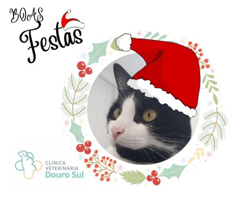Photo post from clinica_veterinaria_dourosul.