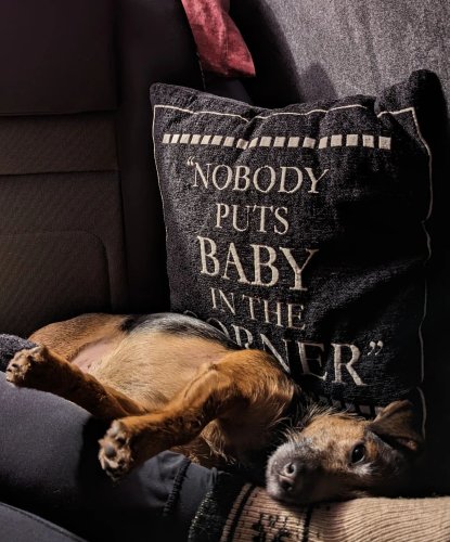 Photo post from scott.parry.associates.