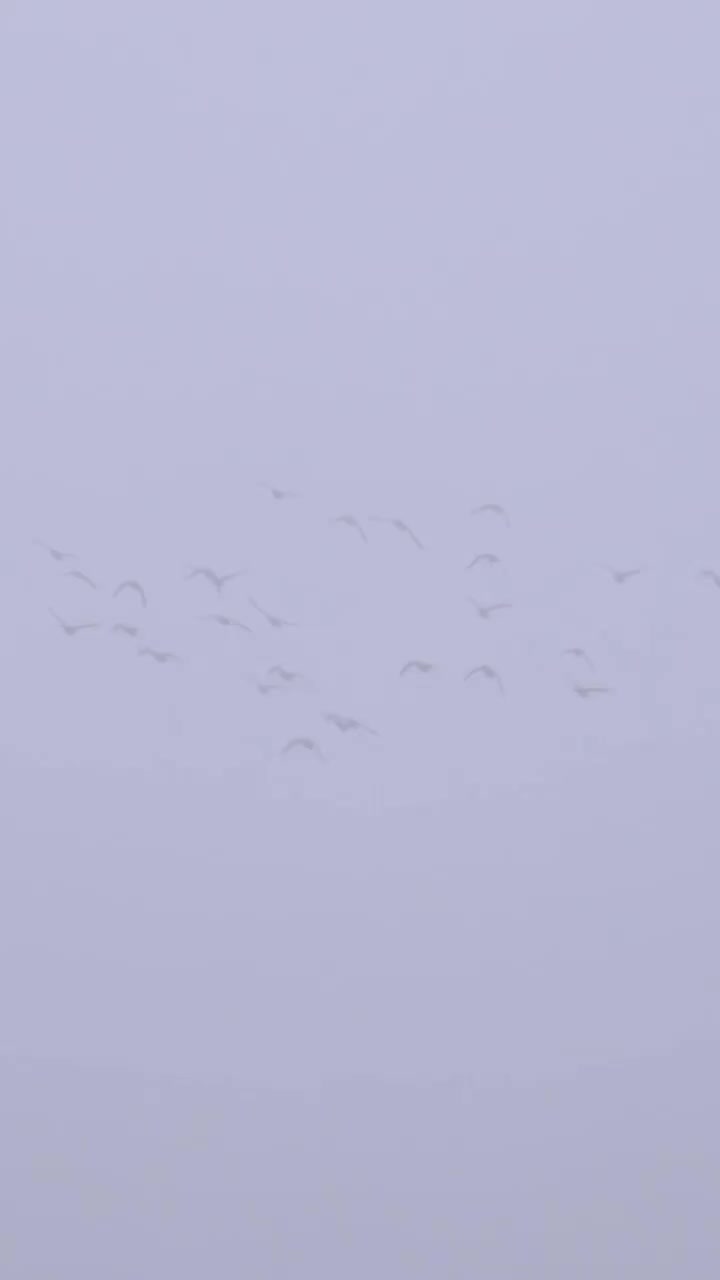 Video post from northernskiesoutfitters.