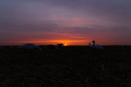 Photo post from northernskiesoutfitters.