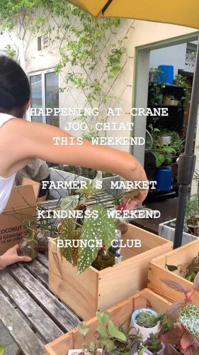 Video post from crane_living.