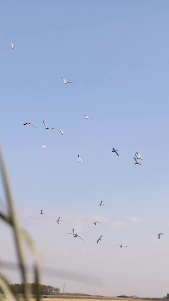 Video post from northernskiesoutfitters.