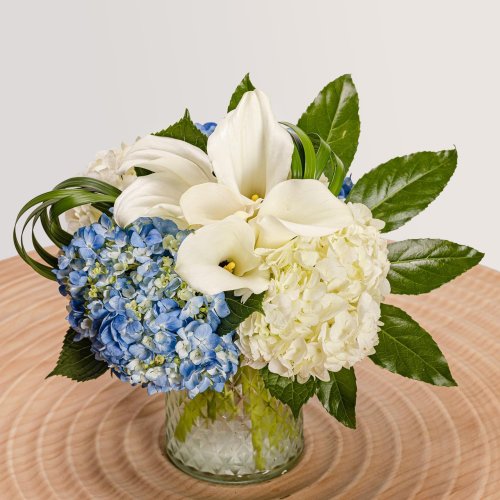 Photo post from thefamilyflowers.