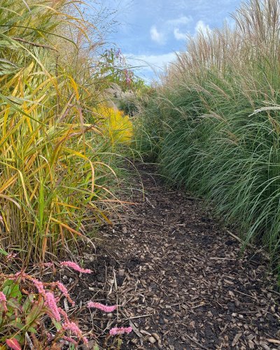 Photo post from sussexprairies.