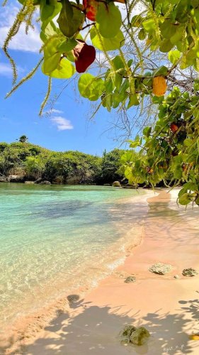 Video post from thingstodoinjamaica.