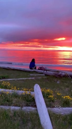 Video post from briiv.natural.