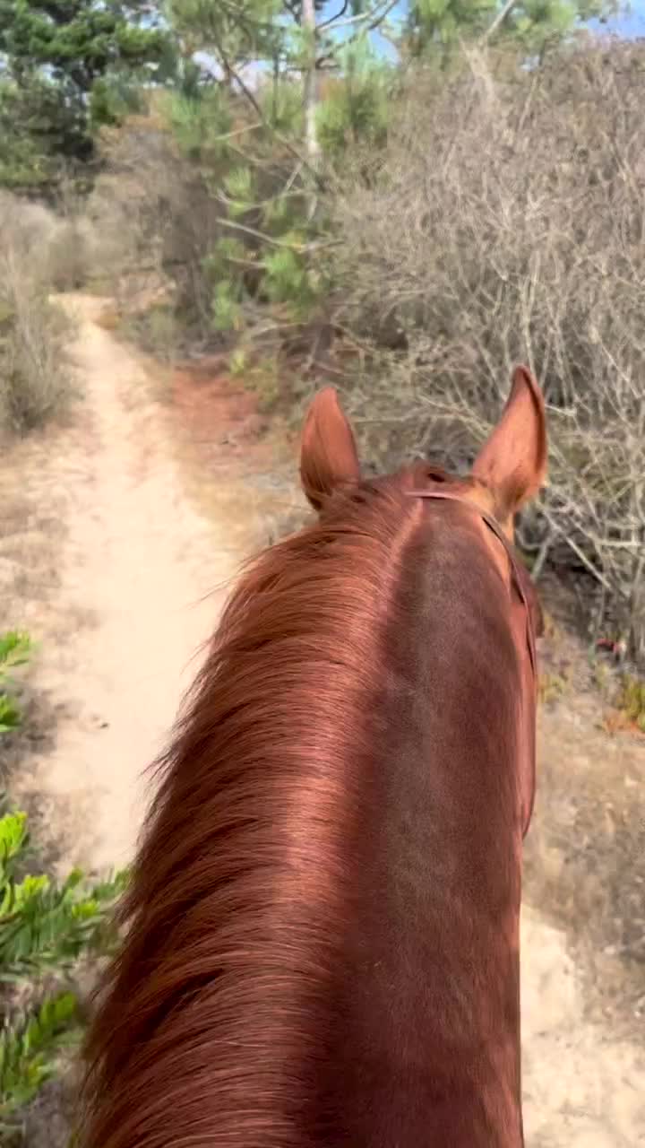 Video post from __amber_lydic__.