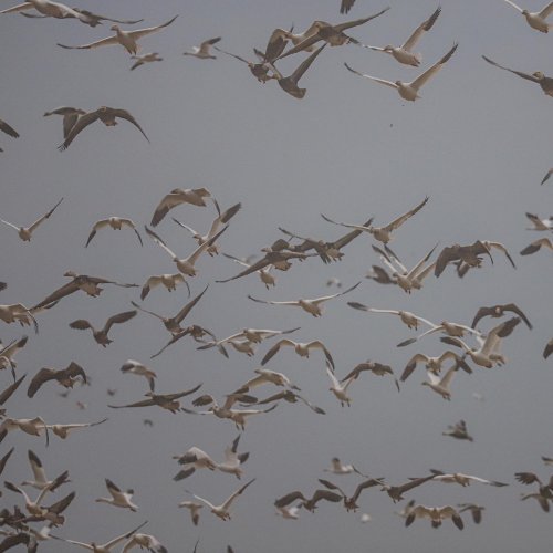 Photo post from northernskiesoutfitters.